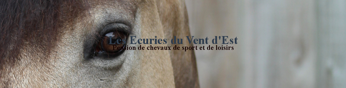Les Ecuries du Vent d'Est